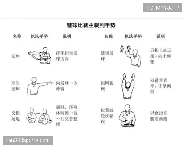 裁判手势规则解析：每个动作代表什么意思？